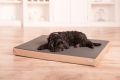 Orthopädisches Hundebett von Hohenstein aus Kunstleder - ideal als Behandlungsunterlage